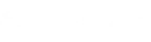 FlexiDuit
